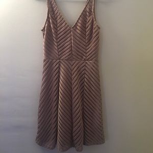 🍍🍍NWT Charlotte Russe Nude Skater Dress XS🍍🍍